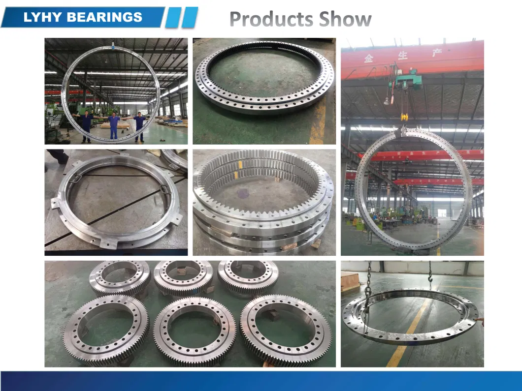 Small Size Slewing Ring Bearing for Truck Mounted Crane